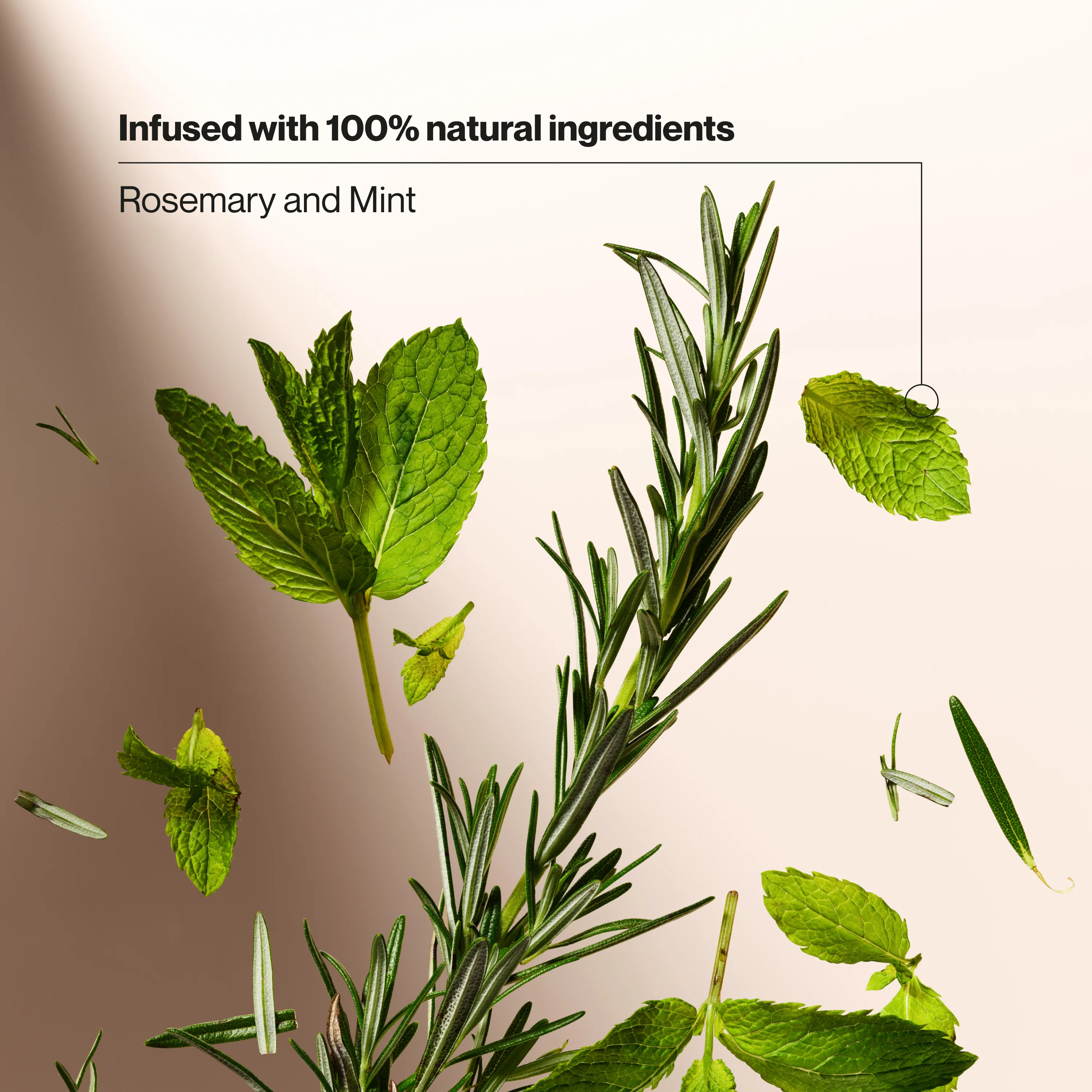 Rosemary & Mint Invigorating Dry Shampoo - Image 5